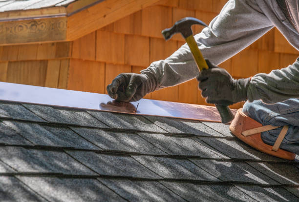 Best Roof Moss and Algae Removal  in Montezuma, GA
