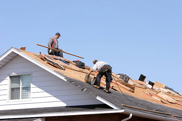 Best Roof Insulation Installation  in Montezuma, GA